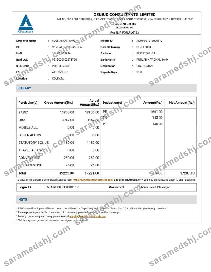 Genius Consultants payslip template in Word and PDF formats.pdf, 1